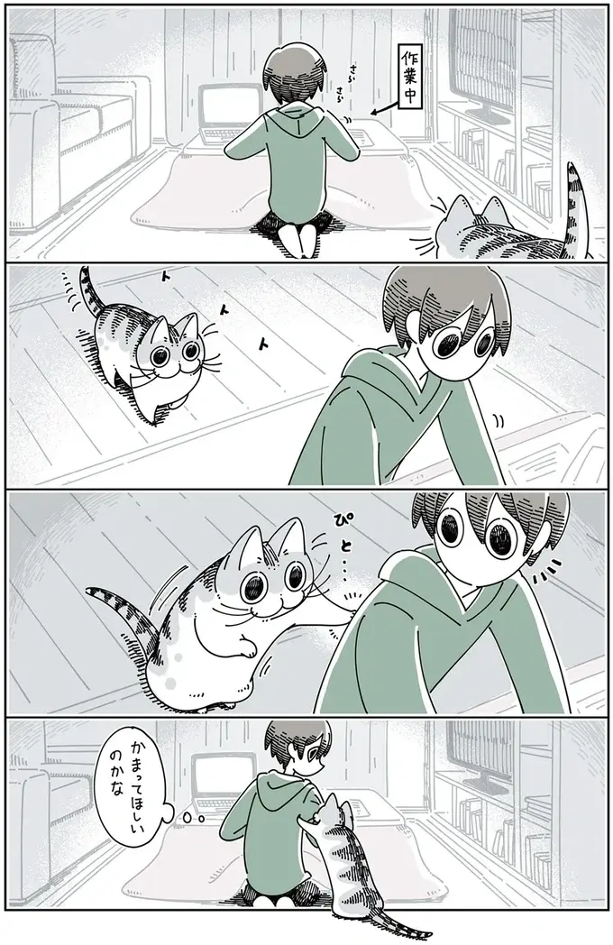 『夜は猫といっしょ』1～3（78）