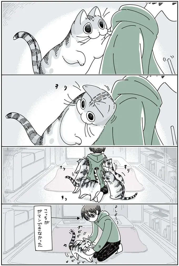 『夜は猫といっしょ』1～3（80）
