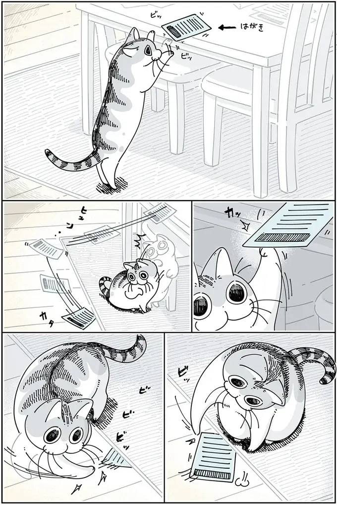 『夜は猫といっしょ』1～3（81）