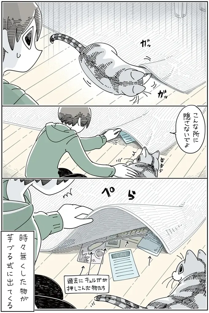 『夜は猫といっしょ』1～3（82）
