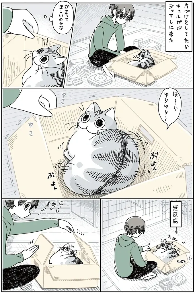 『夜は猫といっしょ』1～3（85）