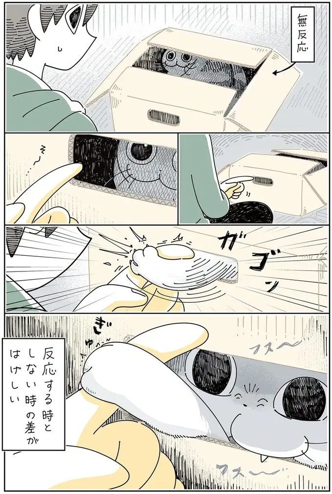『夜は猫といっしょ』1～3（86）
