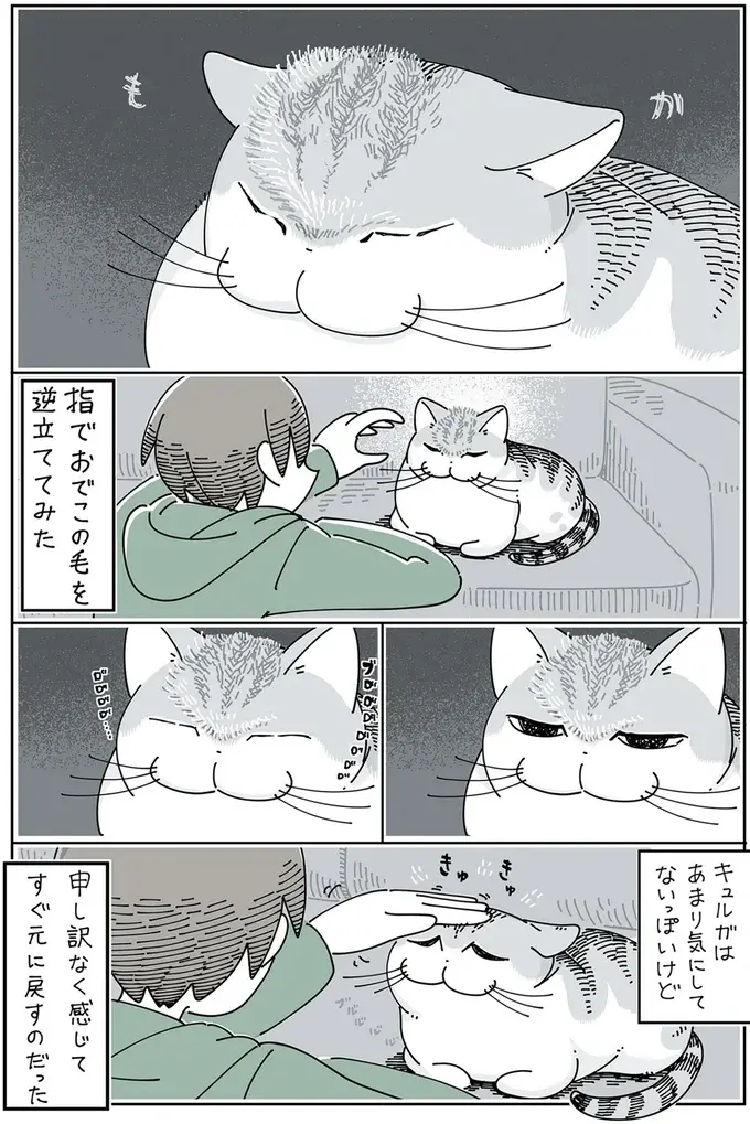 『夜は猫といっしょ』1～3（88）