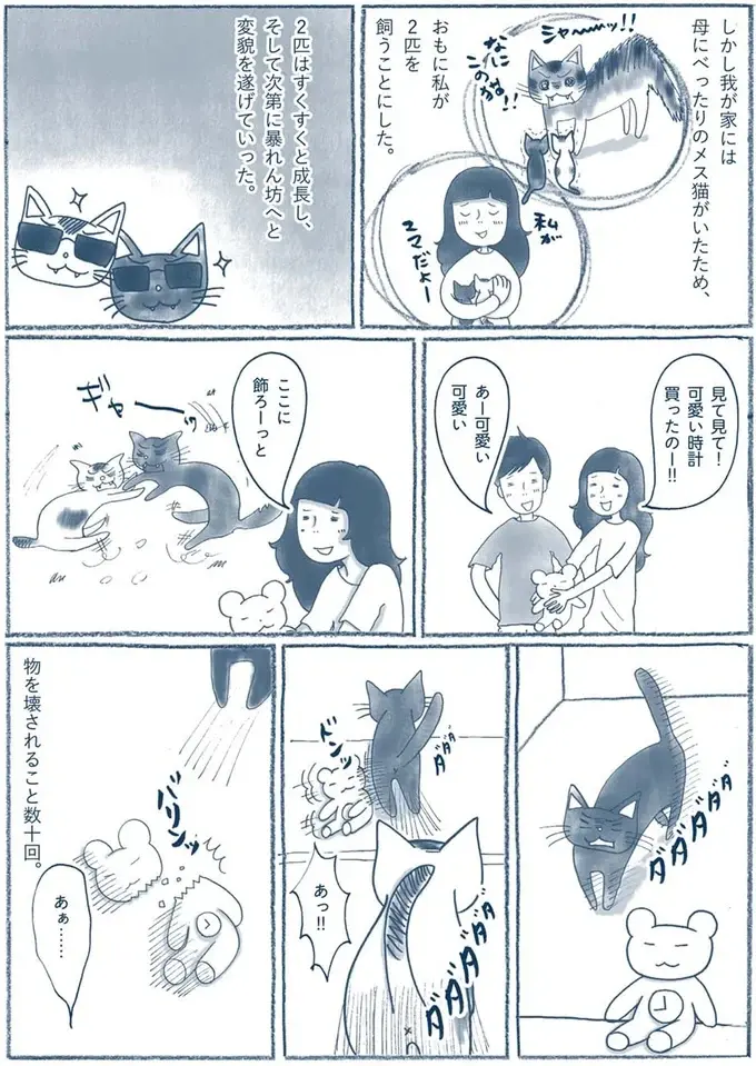 『わたしのウチには、なんにもない。』（63）