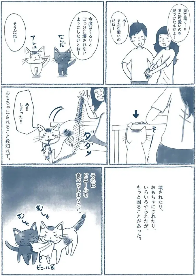 『わたしのウチには、なんにもない。』（64）