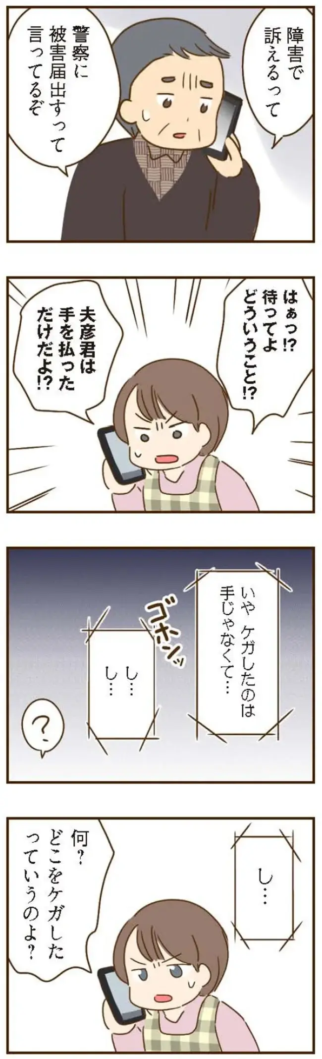 傷害で訴える!? 義母と義姉が繰り広げる「普通じゃない」行動／家族を乗っ取る義姉と戦った話（4）