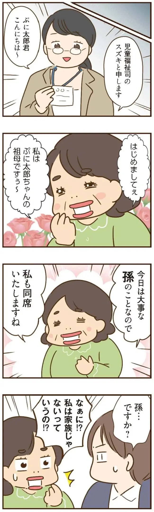 大嘘つきのトンデモ義母。児童相談所の面談に押し掛けて、虐待をでっち上げ!?／家族を乗っ取る義姉と戦った話（5）