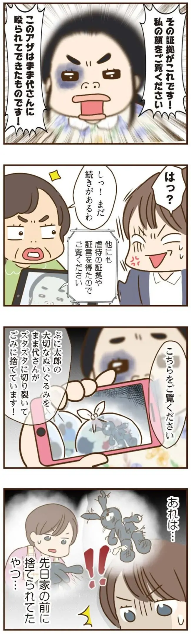「真相をお話しします」目にアザをつけた義姉。捏造された虐待疑惑で、息子を奪われる!?／家族を乗っ取る義姉と戦った話（5）