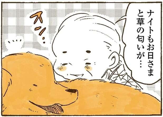 干した布団はお日さまのいい匂い。愛犬のレトリバーも同じだと思ったら...あれ？／姫ばあちゃんとナイト（1）