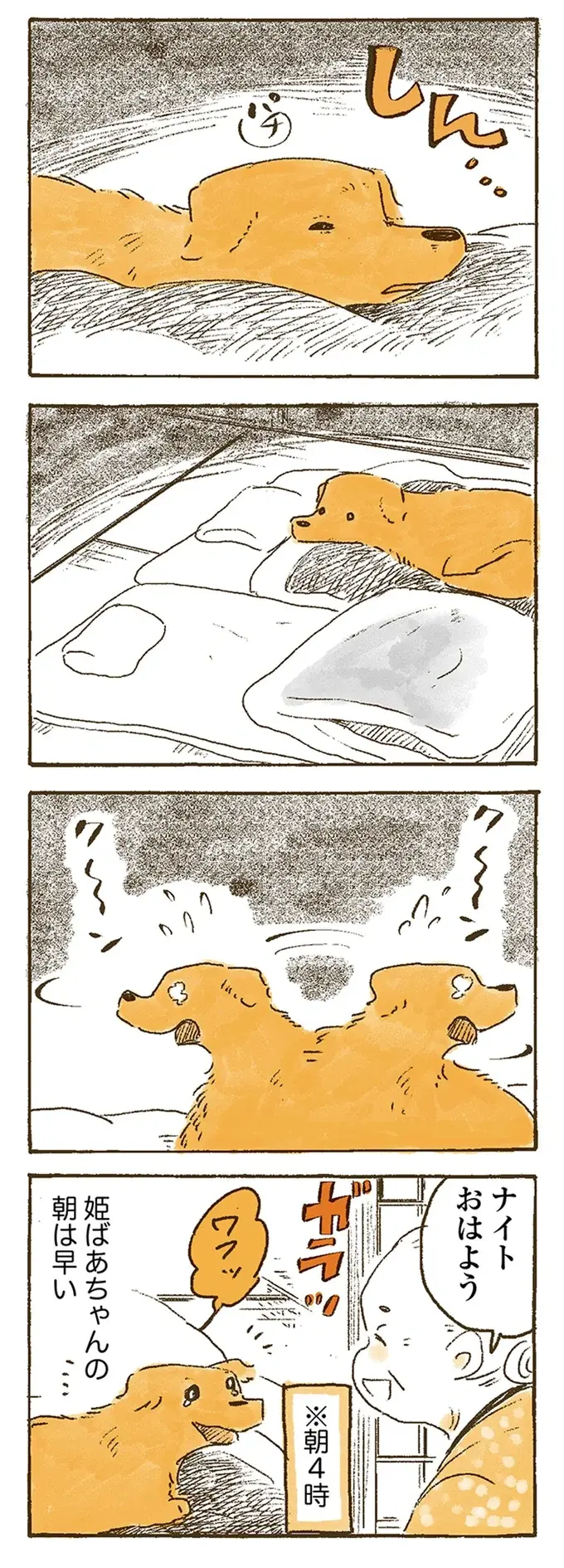 干した布団はお日さまのいい匂い。愛犬のレトリバーも同じだと思ったら...あれ？／姫ばあちゃんとナイト（6）