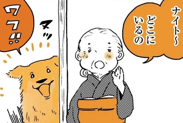 姫ばあちゃんに呼ばれたら返事する愛犬レトリバー。でも反応が良すぎて...？／姫ばあちゃんとナイト2（1）