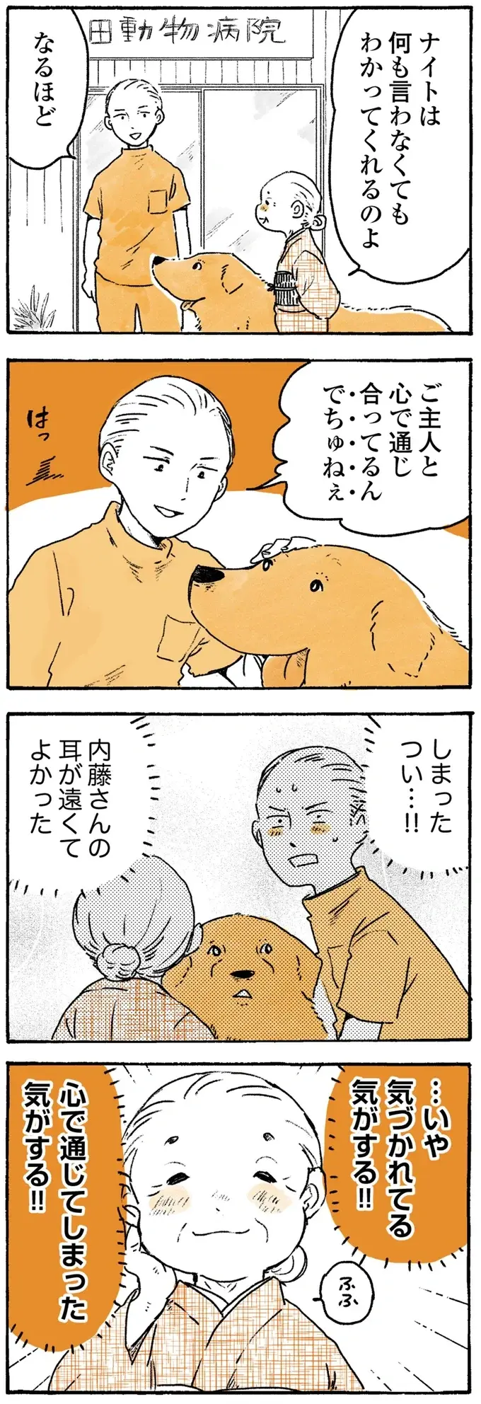姫ばあちゃんに呼ばれたら返事する愛犬レトリバー。でも反応が良すぎて...？／姫ばあちゃんとナイト2（3）