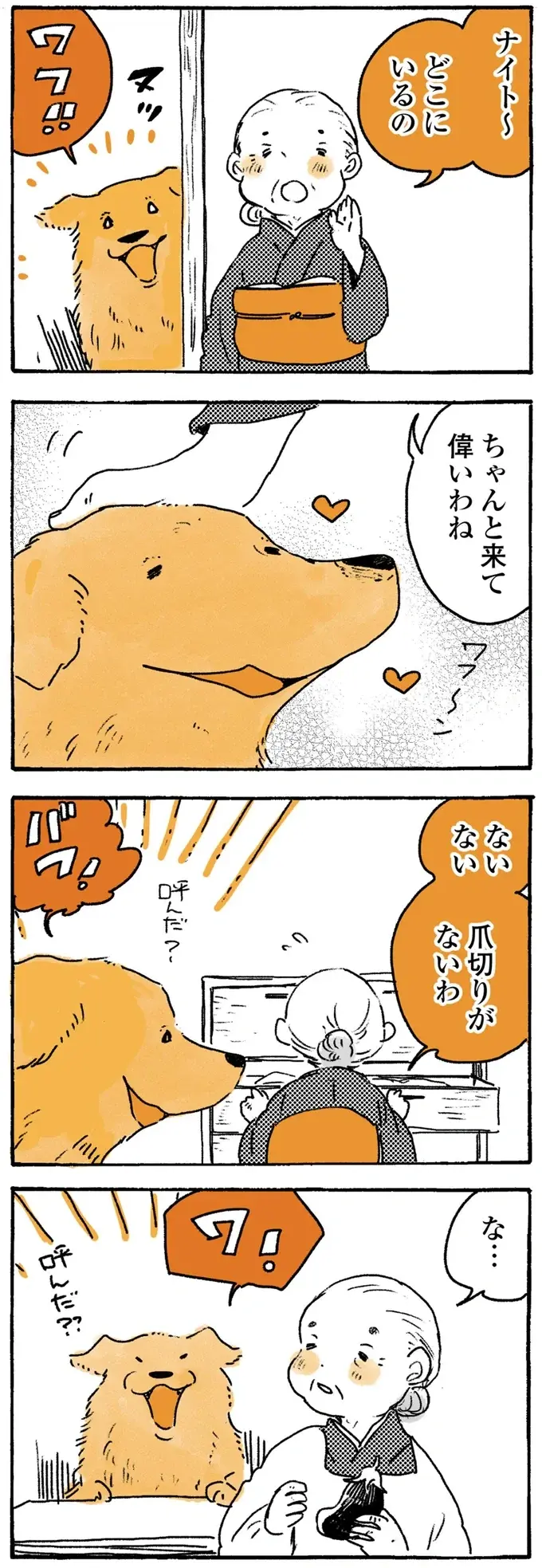 姫ばあちゃんに呼ばれたら返事する愛犬レトリバー。でも反応が良すぎて...？／姫ばあちゃんとナイト2（4）
