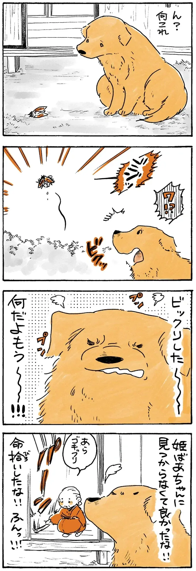 姫ばあちゃんに呼ばれたら返事する愛犬レトリバー。でも反応が良すぎて...？／姫ばあちゃんとナイト2（7）