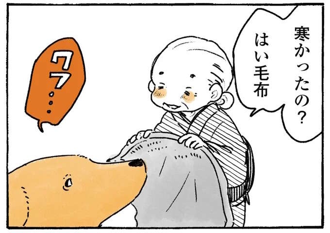 愛犬レトリバーは毛布よりこっち！ 掛け布団にしたがるのはばあちゃんの...／姫ばあちゃんとナイト2（1）