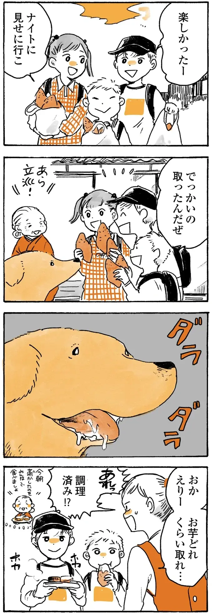 愛犬レトリバーは毛布よりこっち！ 掛け布団にしたがるのはばあちゃんの...／姫ばあちゃんとナイト2（3）