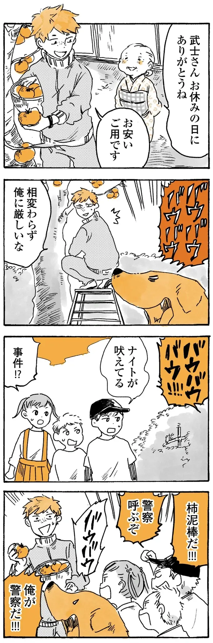 愛犬レトリバーは毛布よりこっち！ 掛け布団にしたがるのはばあちゃんの...／姫ばあちゃんとナイト2（7）