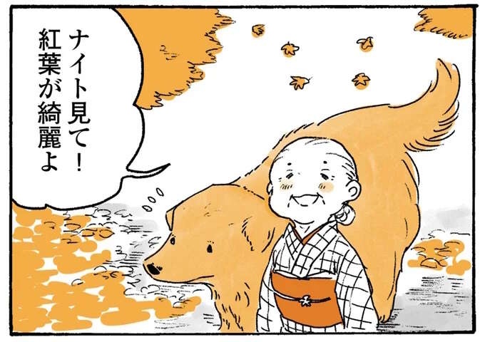 「見て！」鳥を指差すおばあちゃん。でも、愛犬レトリバーの視線の先は...／姫ばあちゃんとナイト2（1）