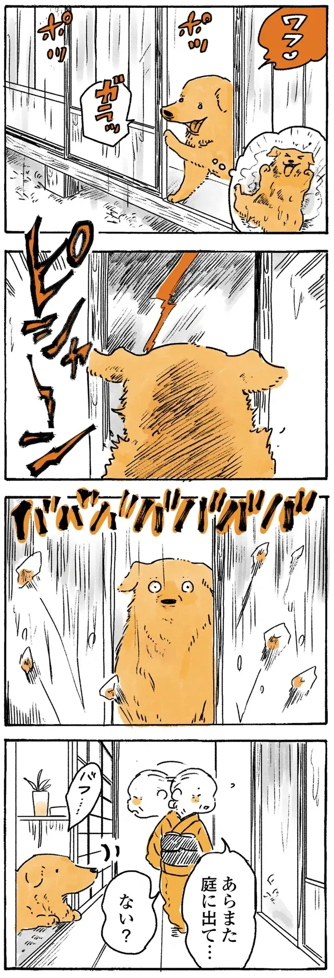 「見て！」鳥を指差すおばあちゃん。でも、愛犬レトリバーの視線の先は...／姫ばあちゃんとナイト2（3）