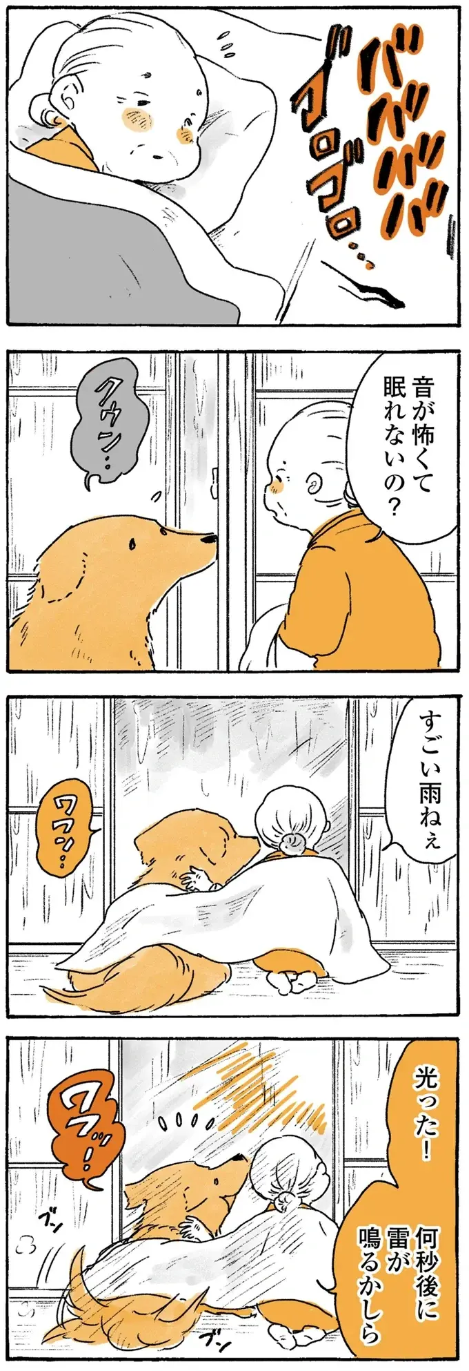 「見て！」鳥を指差すおばあちゃん。でも、愛犬レトリバーの視線の先は...／姫ばあちゃんとナイト2（5）
