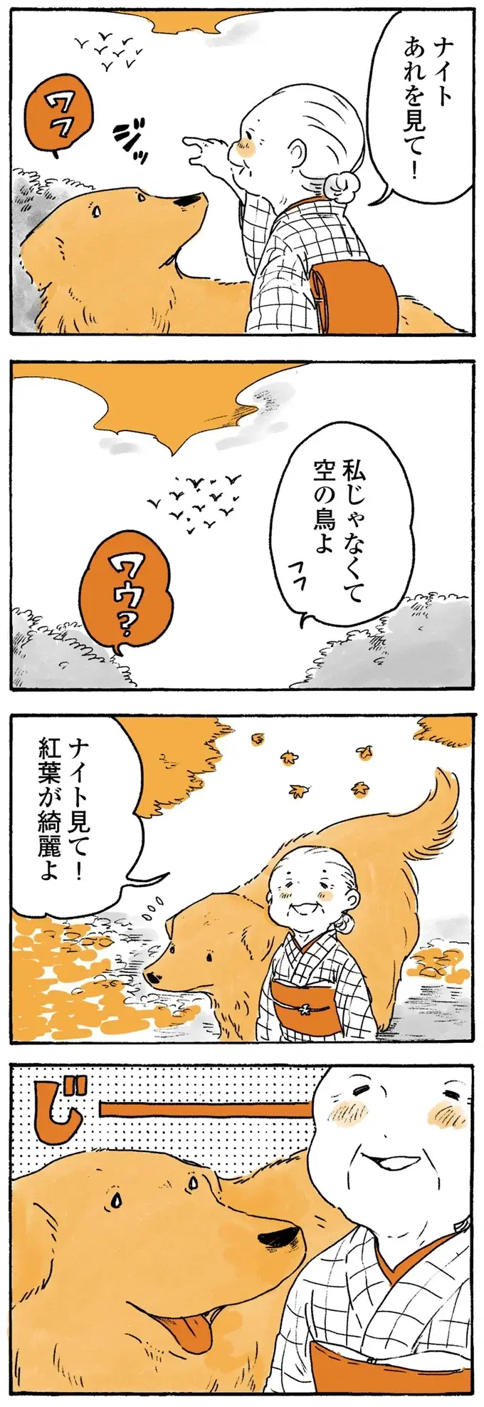 「見て！」鳥を指差すおばあちゃん。でも、愛犬レトリバーの視線の先は...／姫ばあちゃんとナイト2（7）
