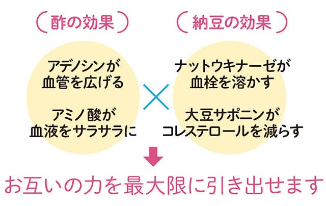 すぐに試せる「血液サラサラ習慣」。血栓の予防には「酢納豆」を【医師が解説】（3）