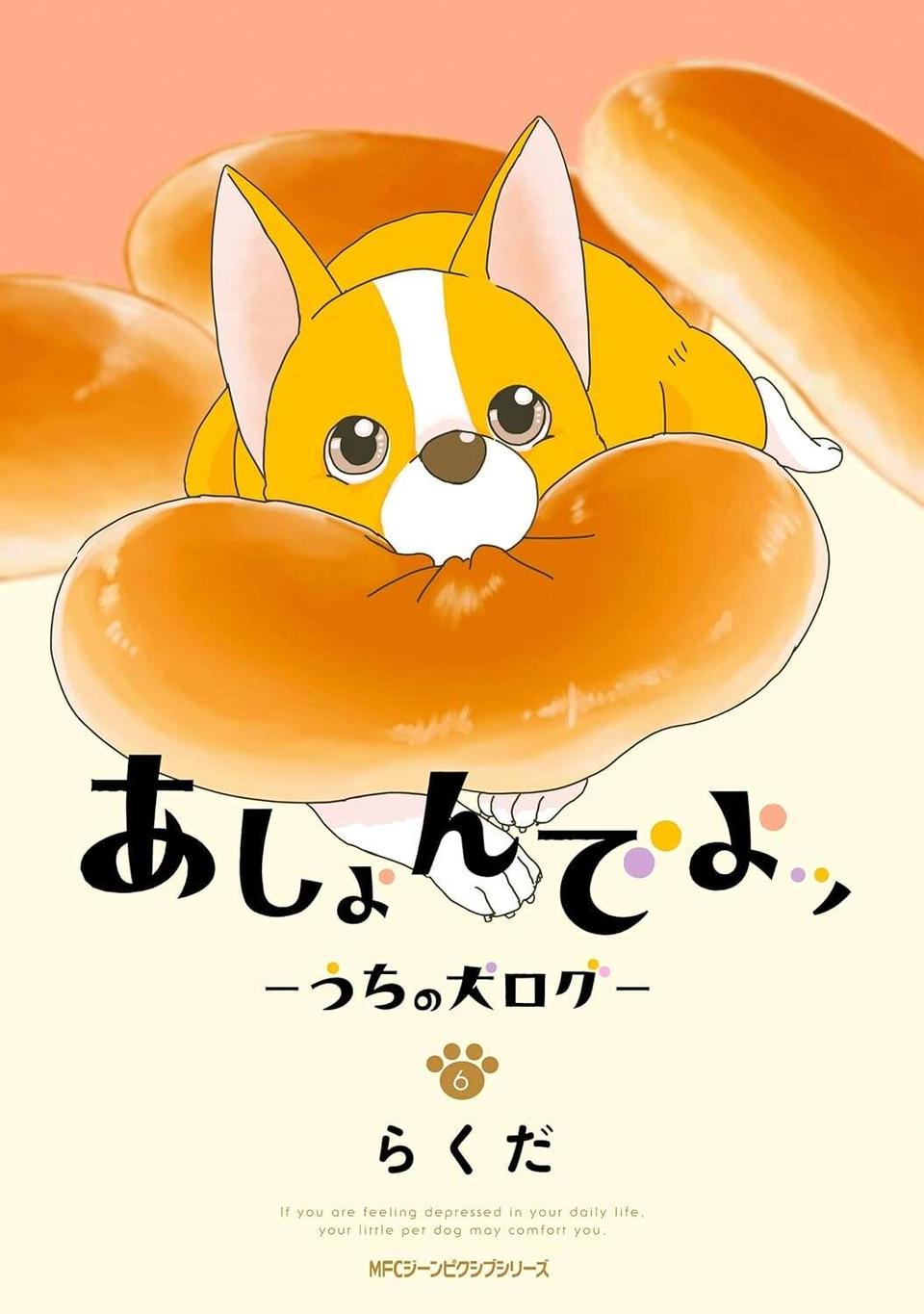 やっぱりこっち！ 愛犬コーギーが新しいおもちゃをもらったが、結局選ぶのは？／あしょんでよッ6（8）