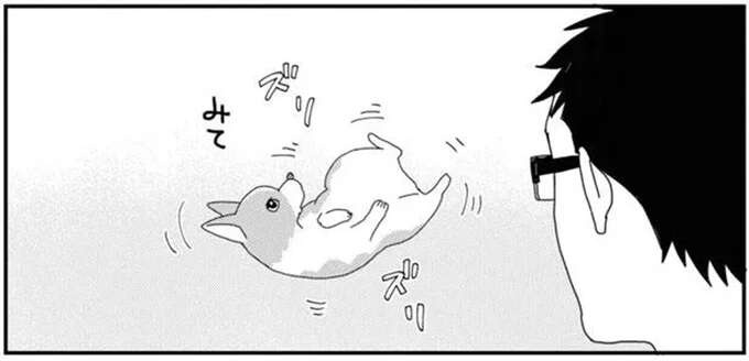 ぶーんは嫌い！ ワンコと飼い主、お掃除後の不毛なバトル／あしょんでよッ7（1）