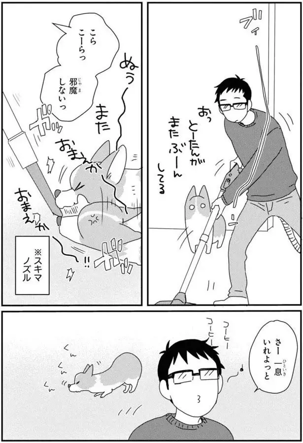 ぶーんは嫌い！ ワンコと飼い主、お掃除後の不毛なバトル／あしょんでよッ7（2）