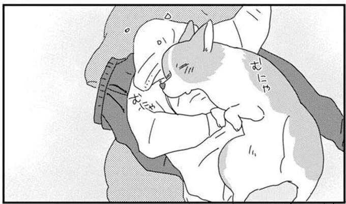 窓に映った姿を見ておや？ 抱っこされたワンコが「あれ」みたい!?／あしょんでよッ7（1）