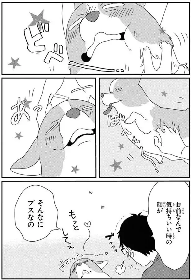 窓に映った姿を見ておや？ 抱っこされたワンコが「あれ」みたい!?／あしょんでよッ7（6）