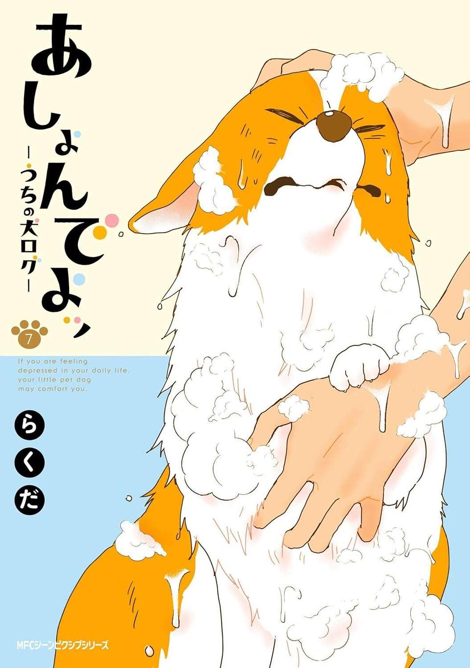 窓に映った姿を見ておや？ 抱っこされたワンコが「あれ」みたい!?／あしょんでよッ7（7）