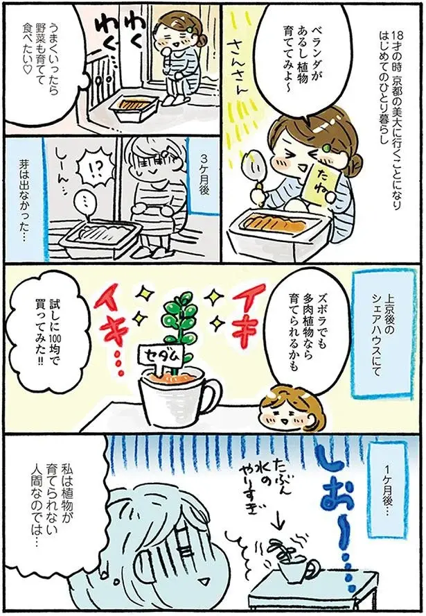 『おひとりさまのゆたかな年収200万生活』1～3+四季の野菜レシピ（19）