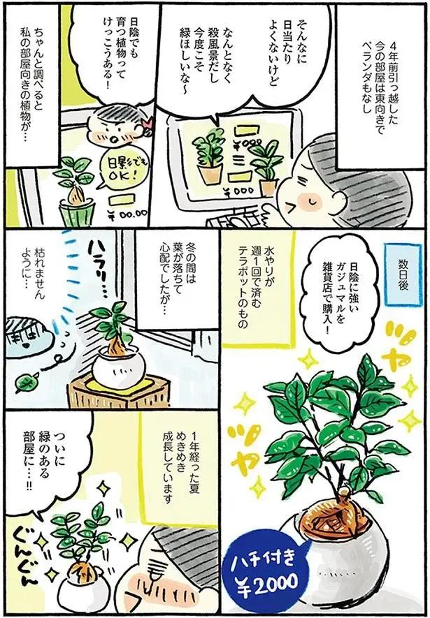 『おひとりさまのゆたかな年収200万生活』1～3+四季の野菜レシピ（20）