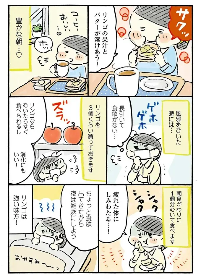『おひとりさまのゆたかな年収200万生活』1～3+四季の野菜レシピ（80）