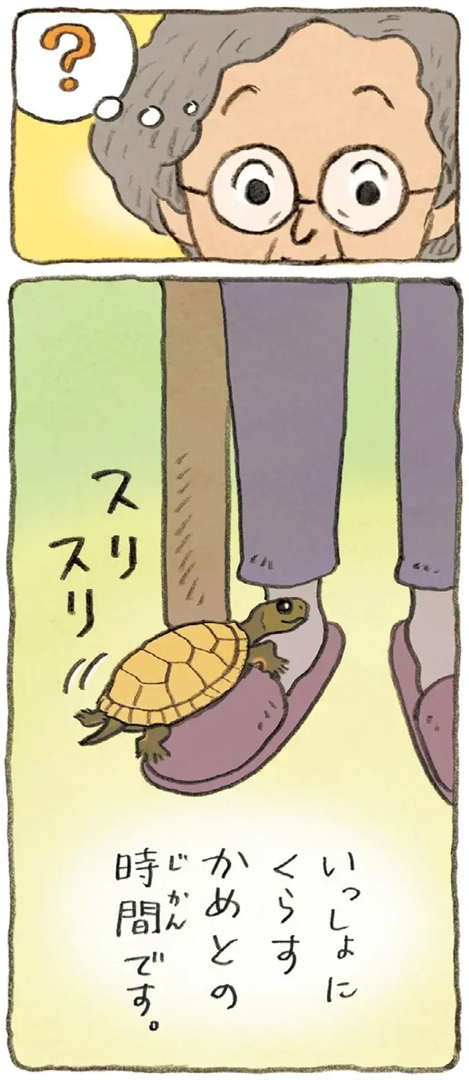 おばあちゃんとかめ 何げに楽しい2匹とのくらし（5）