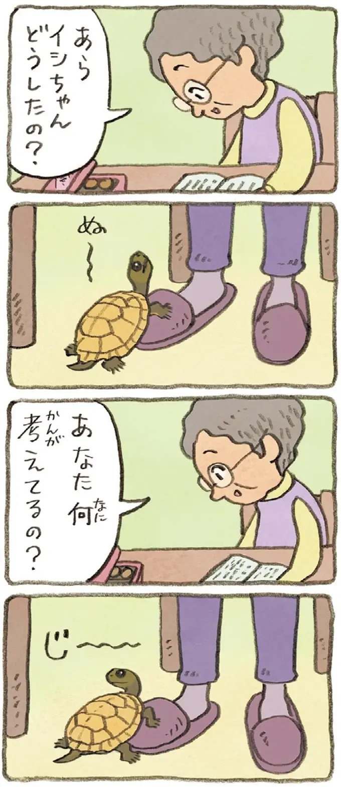 おばあちゃんとかめ 何げに楽しい2匹とのくらし（6）