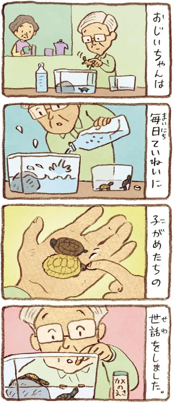 おばあちゃんとかめ 何げに楽しい2匹とのくらし（37）