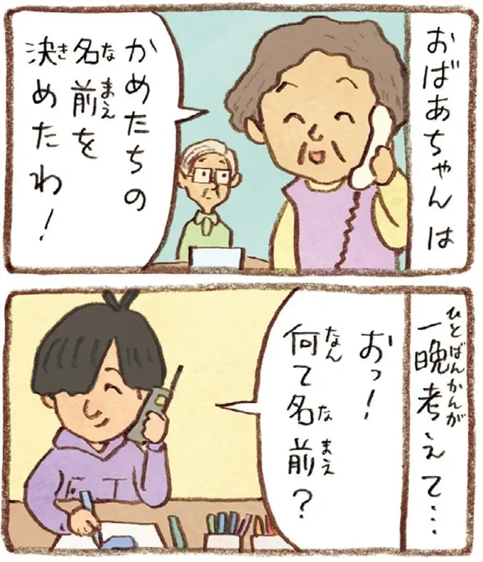 おばあちゃんとかめ 何げに楽しい2匹とのくらし（40）