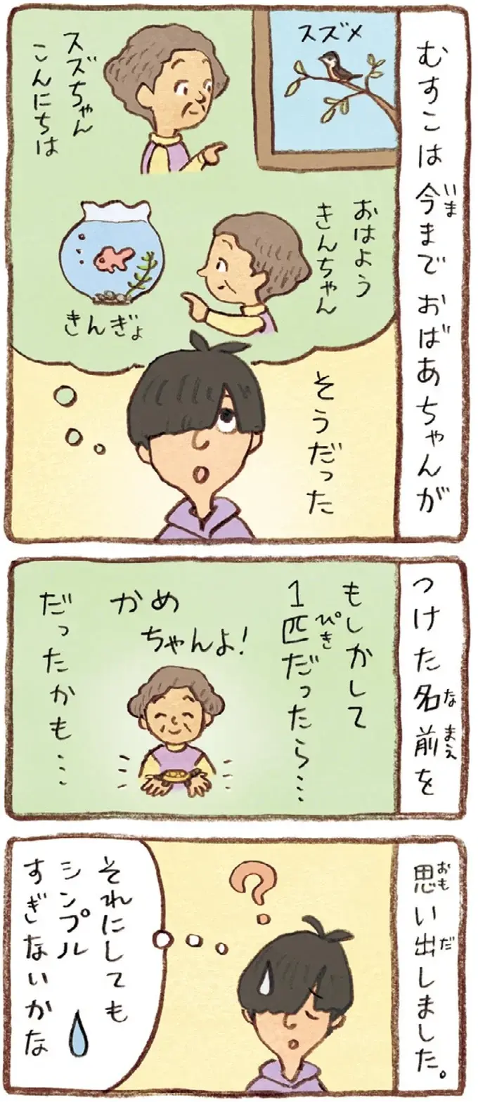 おばあちゃんとかめ 何げに楽しい2匹とのくらし（42）