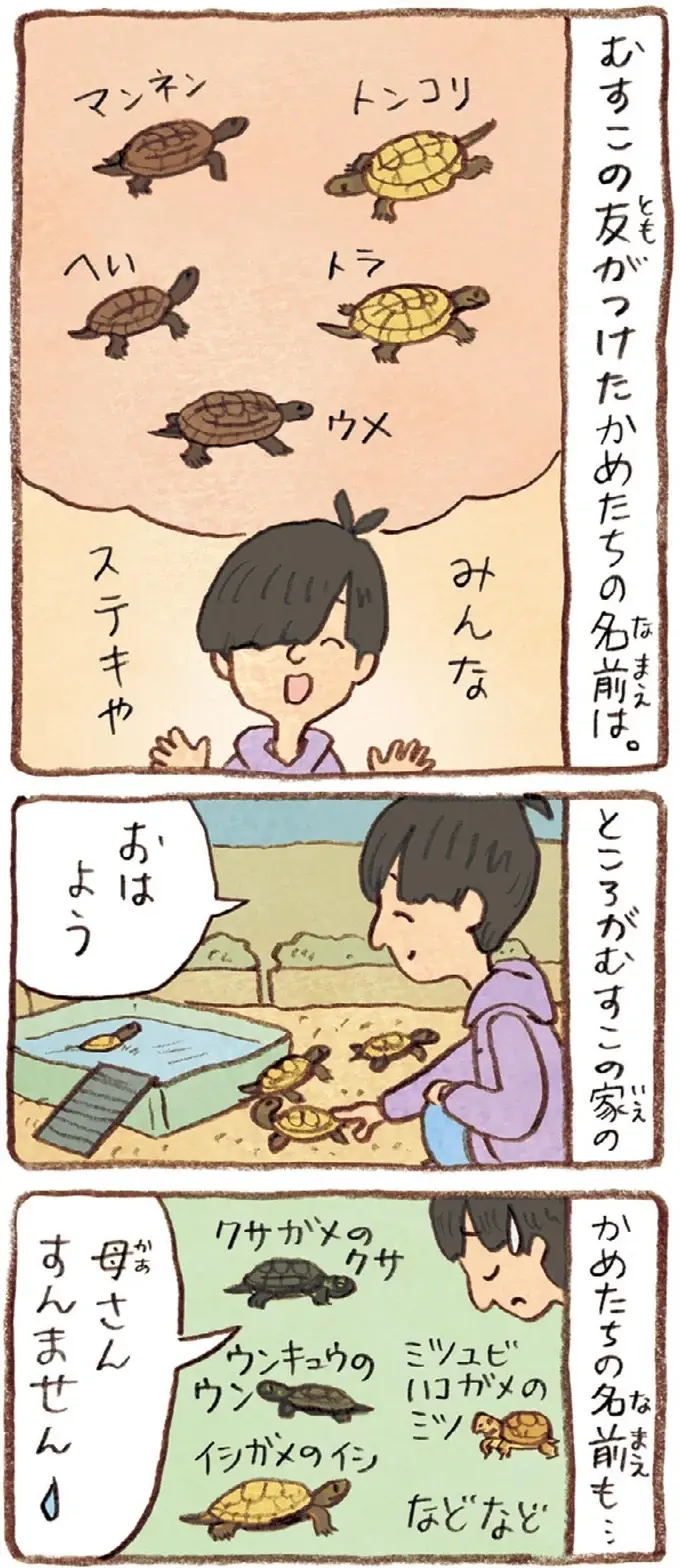おばあちゃんとかめ 何げに楽しい2匹とのくらし（43）