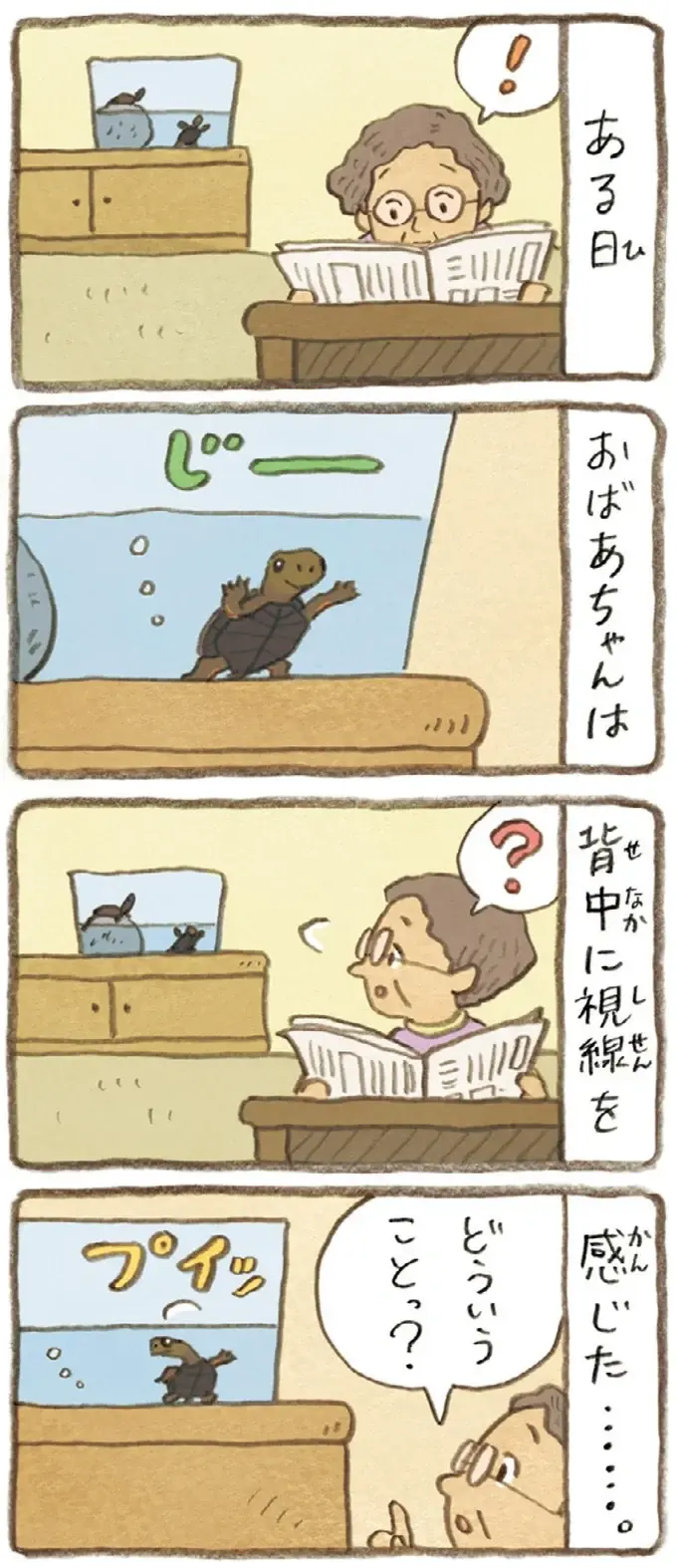おばあちゃんとかめ 何げに楽しい2匹とのくらし（54）