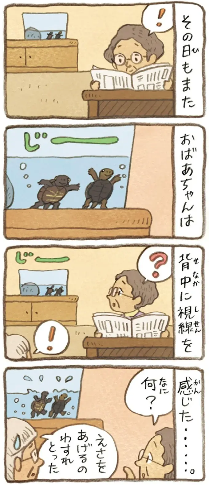 おばあちゃんとかめ 何げに楽しい2匹とのくらし（55）