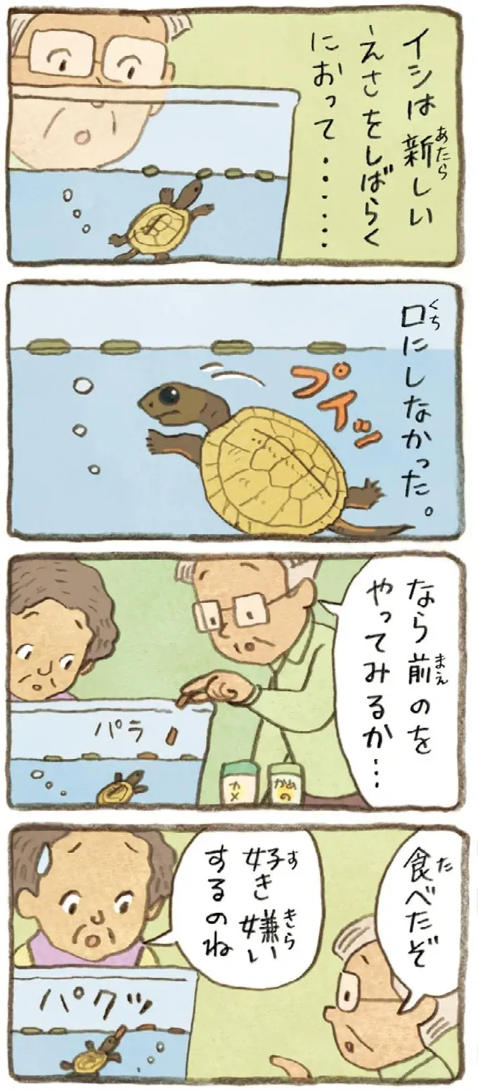 おばあちゃんとかめ 何げに楽しい2匹とのくらし（57）