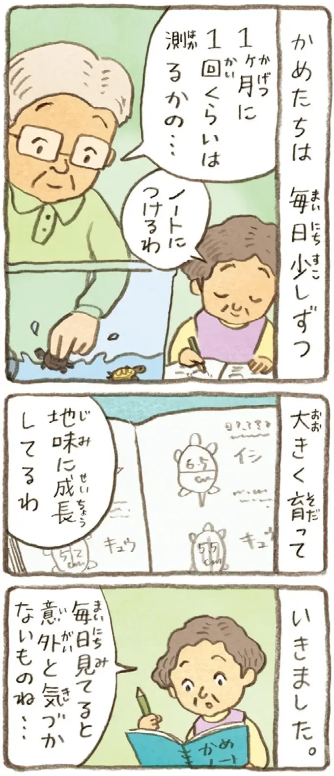 おばあちゃんとかめ 何げに楽しい2匹とのくらし（66）