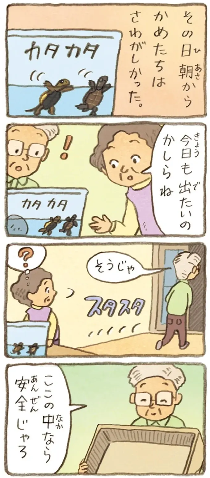 おばあちゃんとかめ 何げに楽しい2匹とのくらし（69）