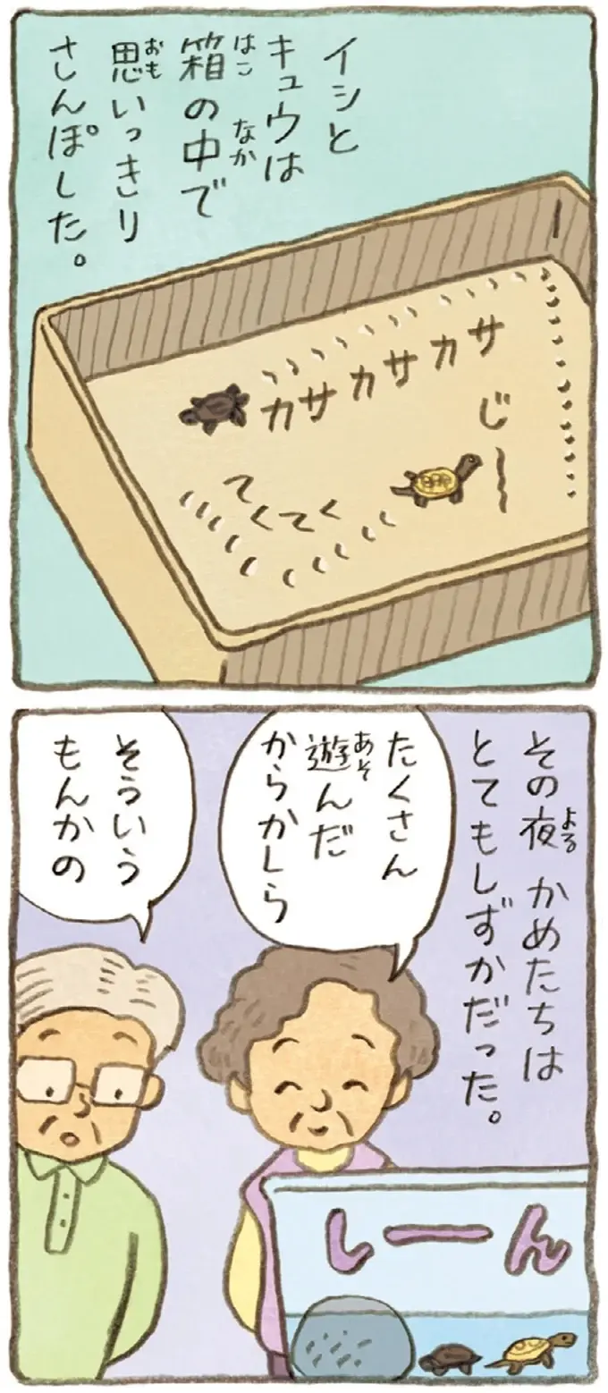 おばあちゃんとかめ 何げに楽しい2匹とのくらし（70）