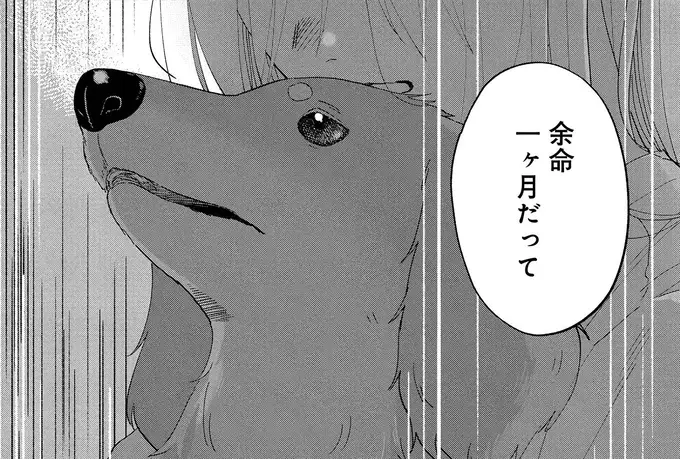 『アルへ』（1）