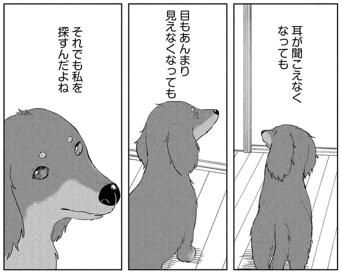 『アルへ』（画像22/78枚目）