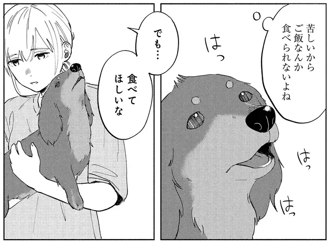 『アルへ』（画像26/78枚目）